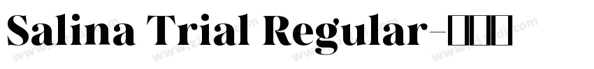 Salina Trial Regular字体转换